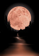 way to red fullmoon way to red fullmoon