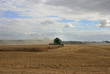Harvest