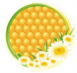 Honeycomb background