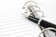 business organizer and pen