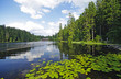 Naturschutzgebiet Großer Arbersee