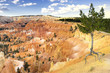 Bryce Canyon