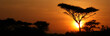 Acacia Tree Sunset, Serengeti, Africa Acacia Tree Sunset, Serengeti, Africa