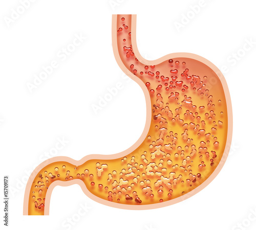 Illustration: stomach stomach
