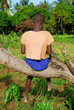 africa