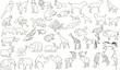 Set of vector animals, rough outlines