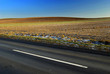 Landscape with black road and blue sky