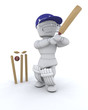 man playing cricket