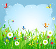 Summer meadow beautiful Summer meadow beautiful
