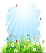 Summer meadow beautiful