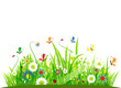 Summer meadow beautiful Summer meadow beautiful