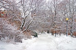 Boston Winter..