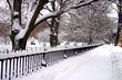 Boston Winter..