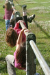 enfant trail landudal