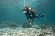 Taucher im Korallenriff|Divers in coral reef|