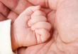 Foto: Baby hand in father's palm Baby hand in father's palm