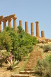 Temple Romain - Agrigente