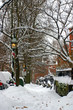 Boston Winter..