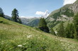 Alpenlandschaft