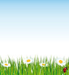 Fresh and natural background