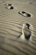 footsteps on beach