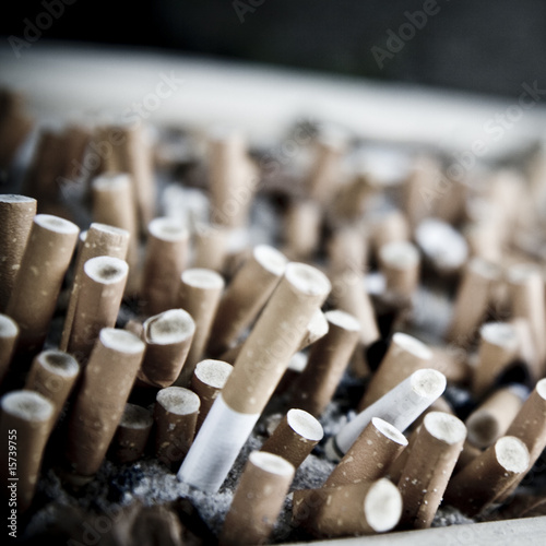 Photo: Cigarette Butts Cigarette Butts