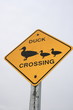 Verkehrsschild duck crossing, USA Verkehrsschild duck crossing, USA