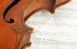 Fragment of violin Fragment of violin