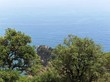 Costa Brava mar y bosque