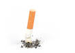 Cigarette butt
