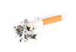 Cigarette butt Cigarette butt