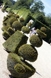 Jardins à la Française, Versailles