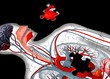 Grayscale Anatomy Puzzle