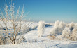 Foto: Winter landscape with frosted trees Winter landscape with frosted trees