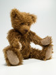Teddybaer