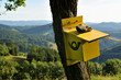 Digitalbild 12 MP