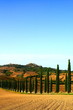 Ackerboden,gepflügt,Zypressen,Rocca d Orcia,Toskana,Italien Ackerboden,gepflügt,Zypressen,Rocca d Orcia,Toskana,Italien