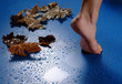 foot and leaves
