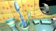 the toothbrush