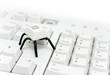 Spider button