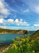Lulworth Cove in Dorset England
