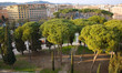 I Pini Di Roma