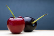 Cherries on blue background