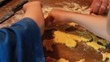 Kekse backen