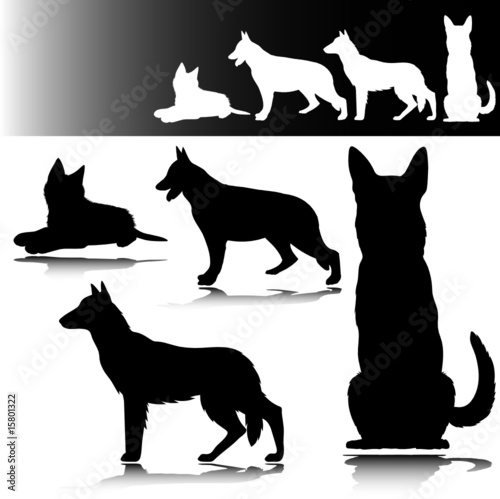 german shepherd vector silhouettes from draganm, Royalty-free vector ...