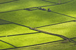 Acores