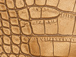 Picture of a genuine leather texture....