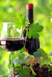 Red wine and wild blackberries.