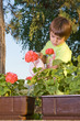 Child watering flowers 2