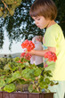 Girl watering flowers